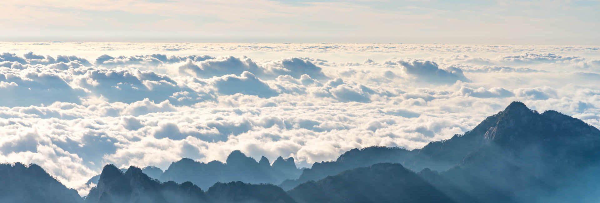 多宝（中国）简介